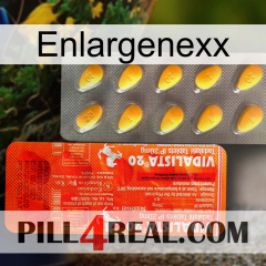 Enlargenexx new01